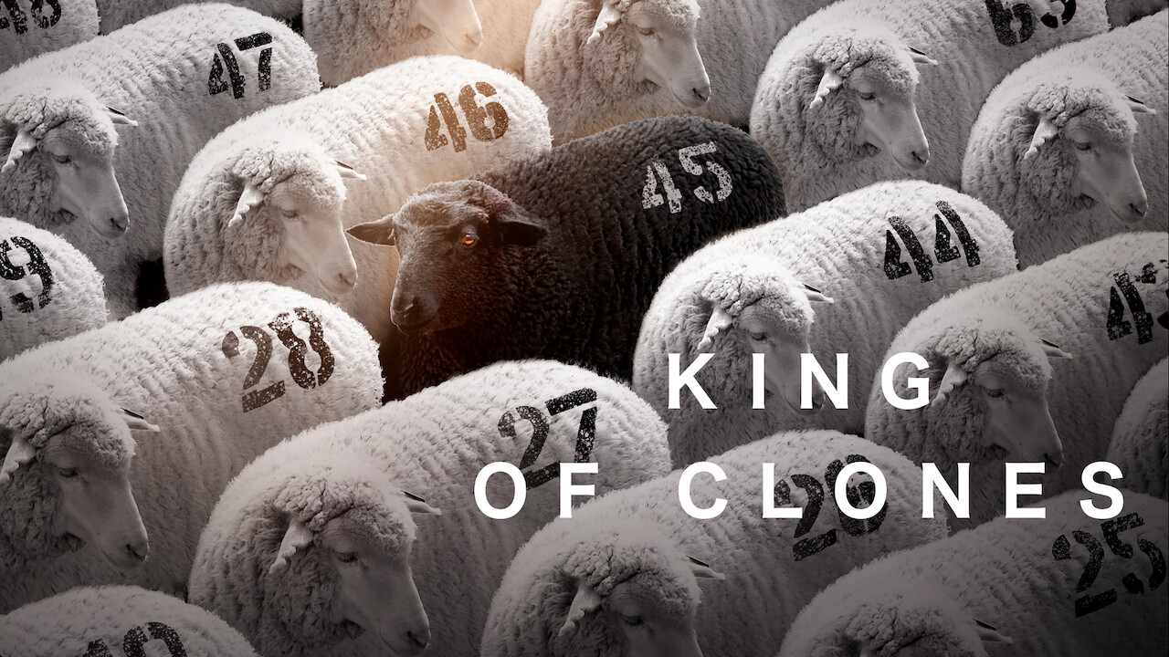 King of Clones