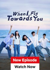 When I Fly Towards You